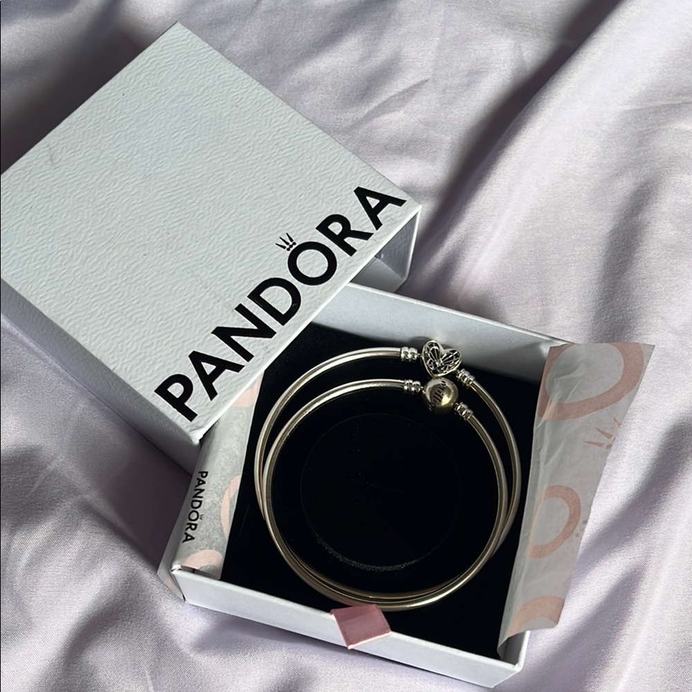 Pandora Silver Charm Bangle